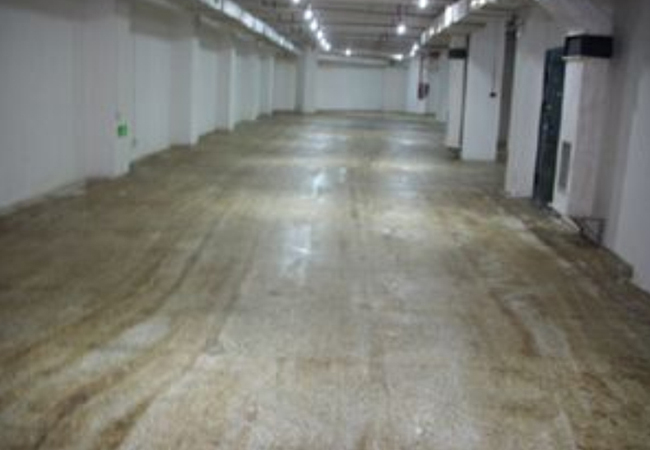 ������͸����