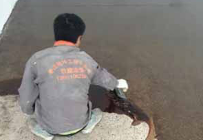 �صػ������ͼ����õ�Ϳ����